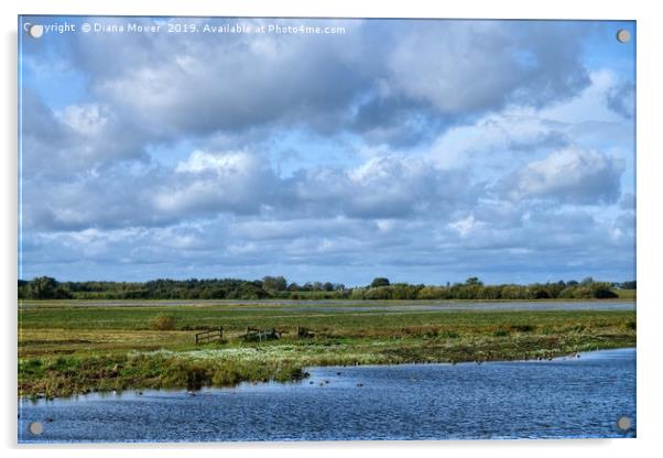 Norfolk Wetlands Acrylic by Diana Mower