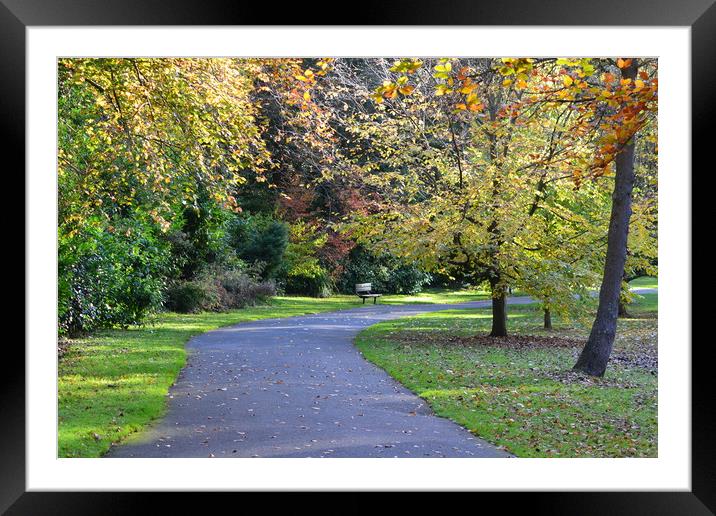 Fall in the Park Framed Mounted Print by camera man