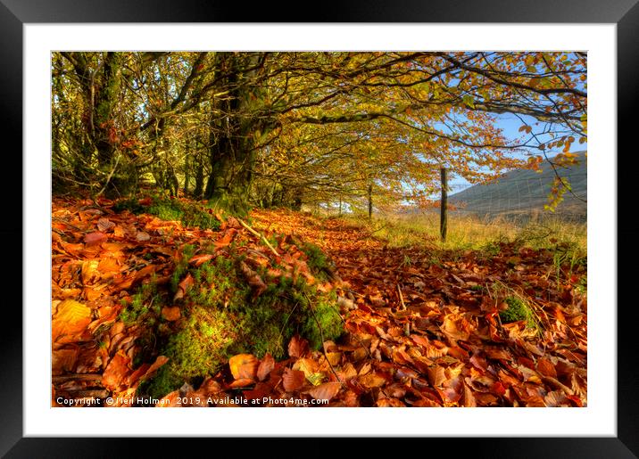Autumn Colours in the Brecon Beacons Framed Mounted Print by Neil Holman