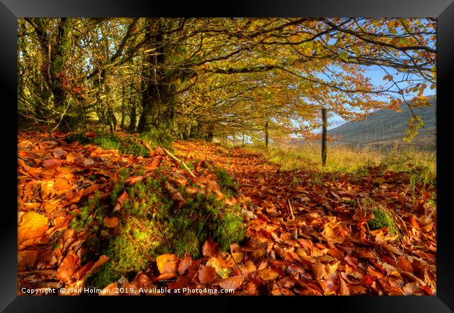 Autumn Colours in the Brecon Beacons Framed Print by Neil Holman