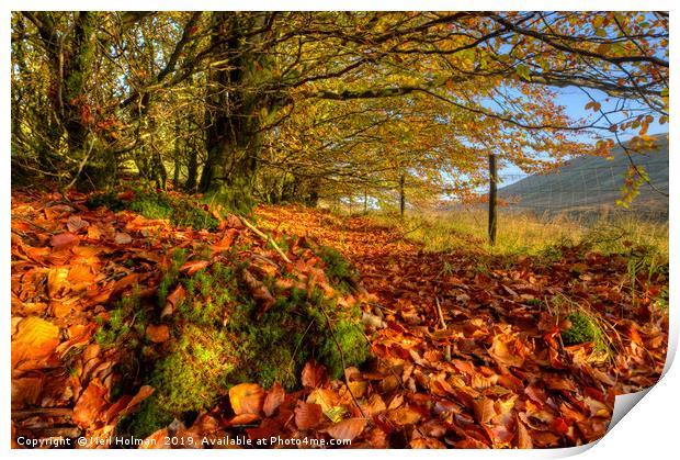 Autumn Colours in the Brecon Beacons Print by Neil Holman
