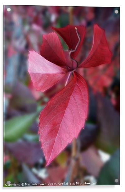 Red of autumn Acrylic by Marinela Feier
