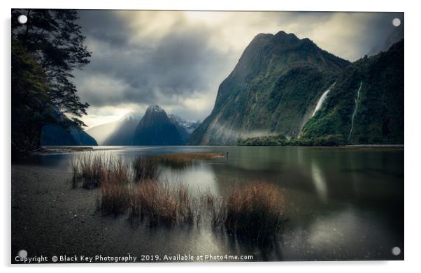 Milford Sound, New Zealand Acrylic by Black Key Photography
