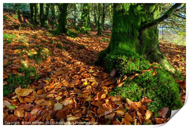 Autumn Greens and Browns Print by Neil Holman