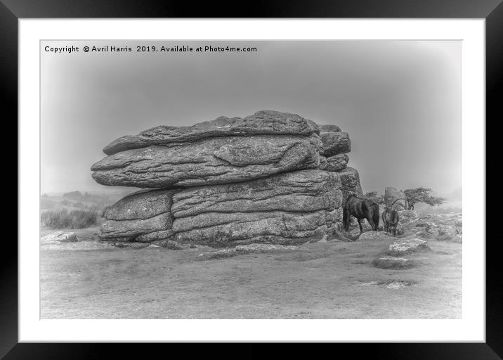 Combestone Tor Dartmoor Devon Framed Mounted Print by Avril Harris