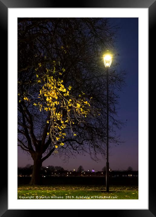 Street Light, Nottingham Framed Mounted Print by Martyn Williams