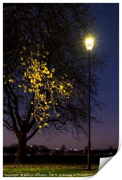 Street Light, Nottingham Print by Martyn Williams