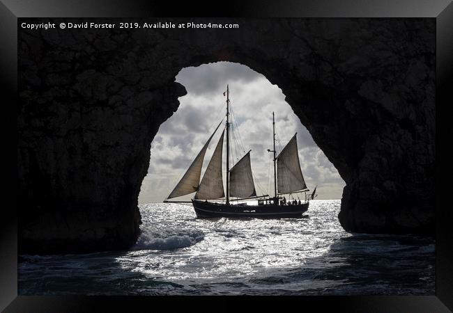 Tallship Framed by the Rock Arch of Durdle Door Framed Print by David Forster