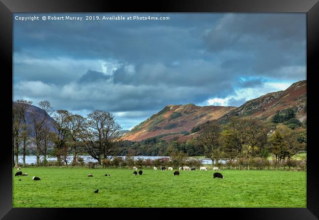 Pastoral Scene at Buttermere Framed Print by Robert Murray