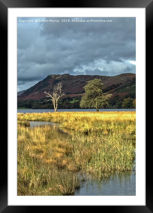 Lonesome Trees Framed Mounted Print by Robert Murray