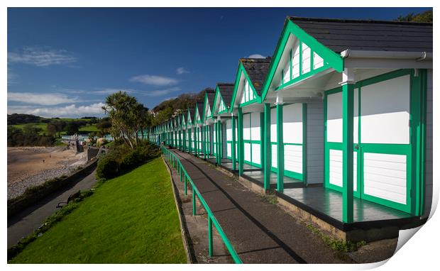 Langland Bay chalets Print by Leighton Collins