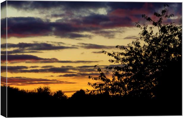 Evening Sunset Canvas Print by Jonathan Thirkell