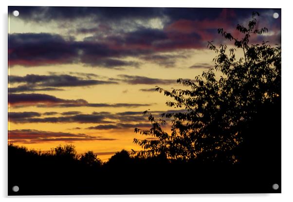 Evening Sunset Acrylic by Jonathan Thirkell