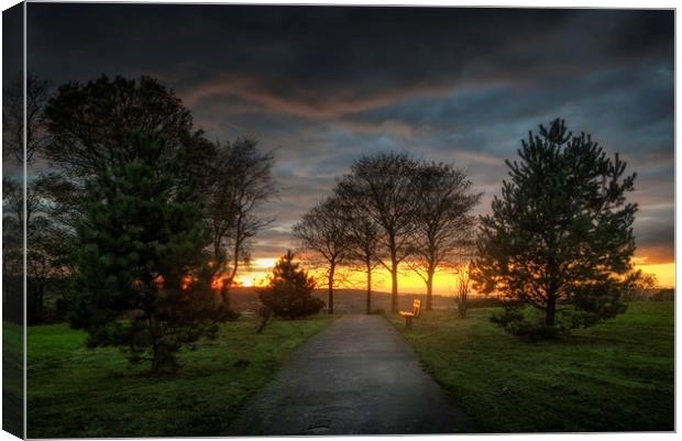 Evening at Ravenhill park Canvas Print by Leighton Collins