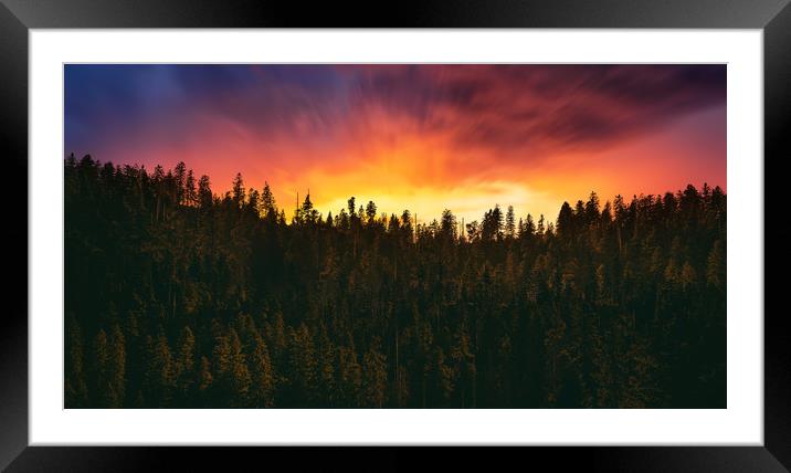 sunset over the forest  Framed Mounted Print by Guido Parmiggiani