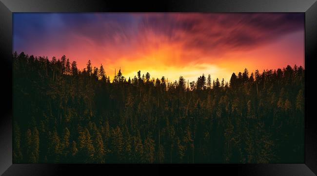 sunset over the forest  Framed Print by Guido Parmiggiani