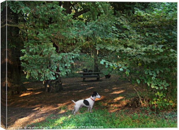 The Picnic Spot Canvas Print by Heather Goodwin