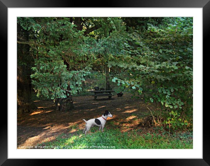 The Picnic Spot Framed Mounted Print by Heather Goodwin