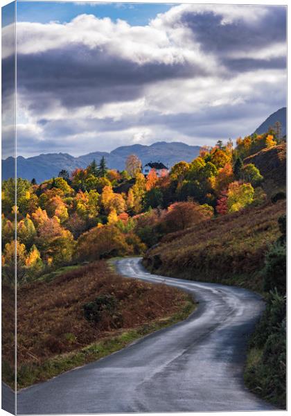 Autumnal Lake District Canvas Print by John Finney
