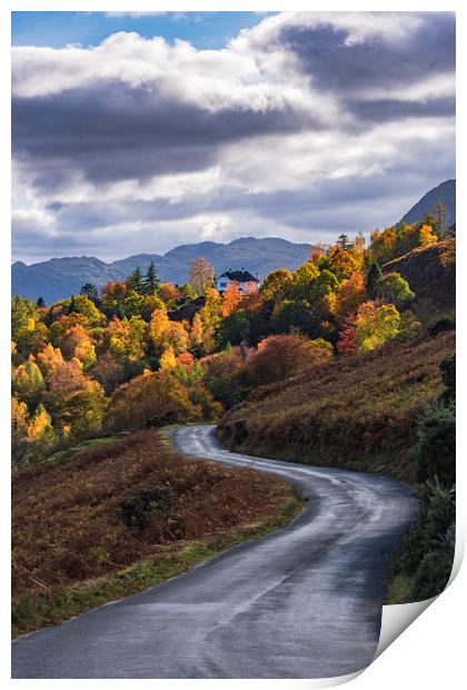 Autumnal Lake District Print by John Finney
