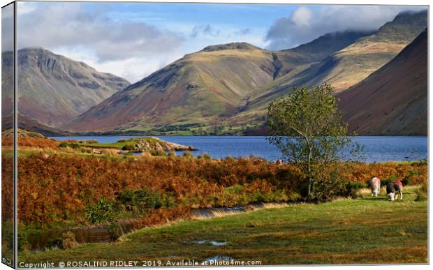 "Golden hour autumn at Wastwater" Canvas Print by ROS RIDLEY