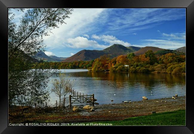 "Autumn morning across Derwentwater" Framed Print by ROS RIDLEY