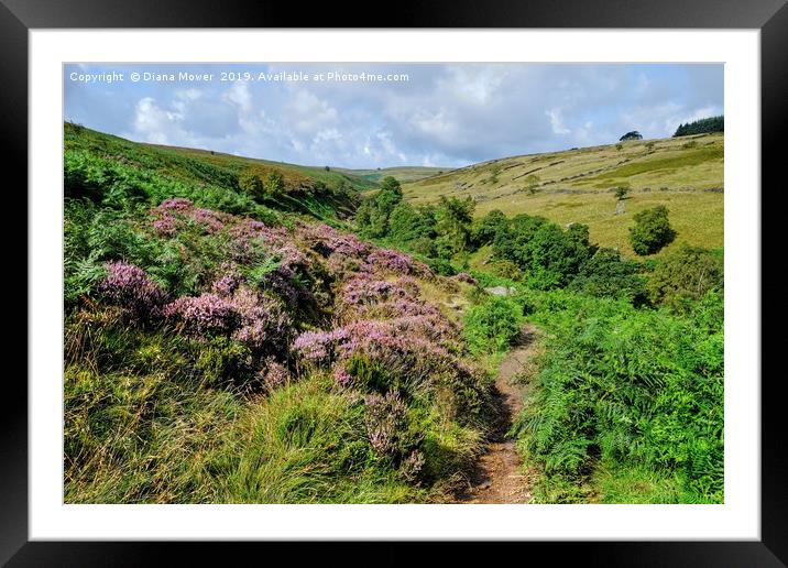 Haworth Moor Walk Framed Mounted Print by Diana Mower