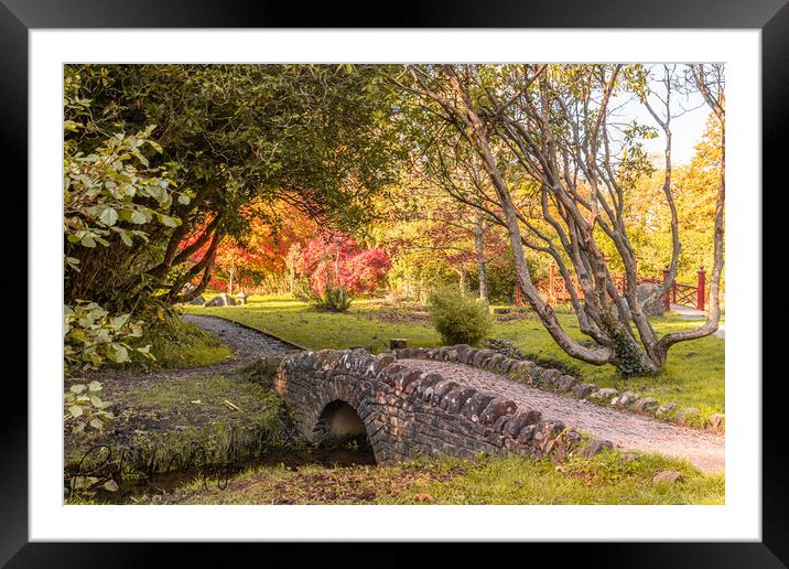 Autumnal Colours Framed Mounted Print by Richard Morgan