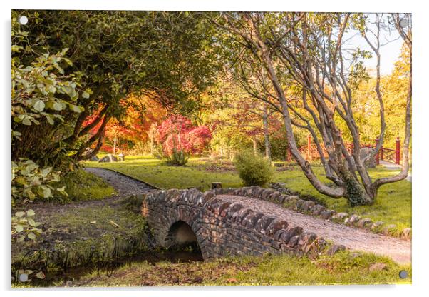 Autumnal Colours Acrylic by Richard Morgan