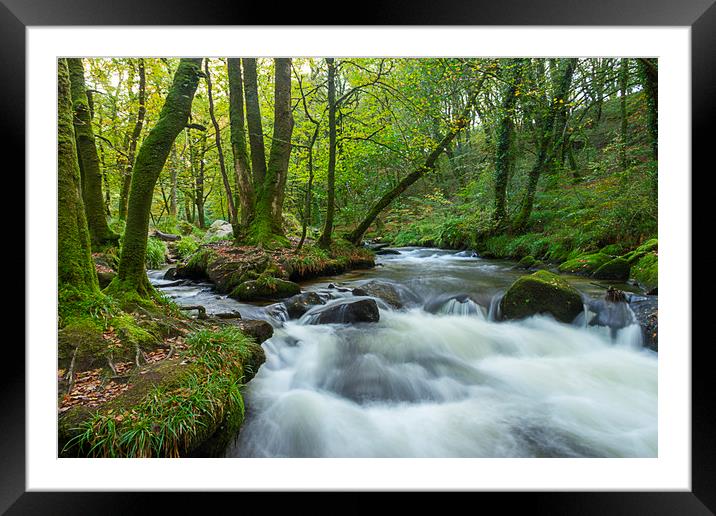 Autum at Golitha Falls Framed Mounted Print by Carolyn Barnard