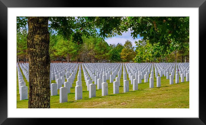 Rows of Markers at Veterans Cemetery Beyond Tree Framed Mounted Print by Darryl Brooks