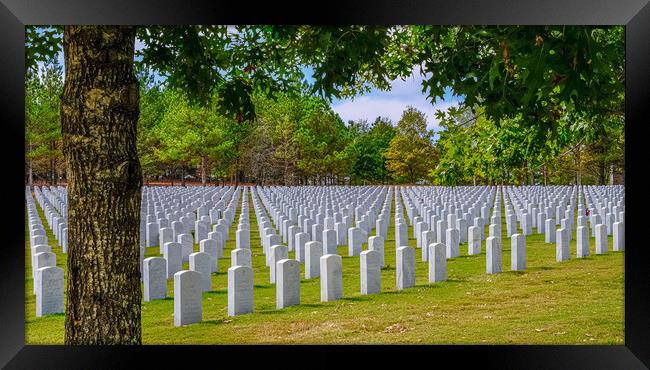 Rows of Markers at Veterans Cemetery Beyond Tree Framed Print by Darryl Brooks