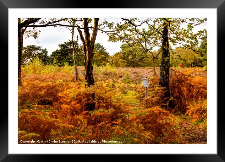 Autumn at Royden Park Framed Mounted Print by Amy Irwin-Steens