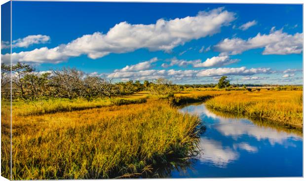 Marsh View with Creek Canvas Print by Darryl Brooks