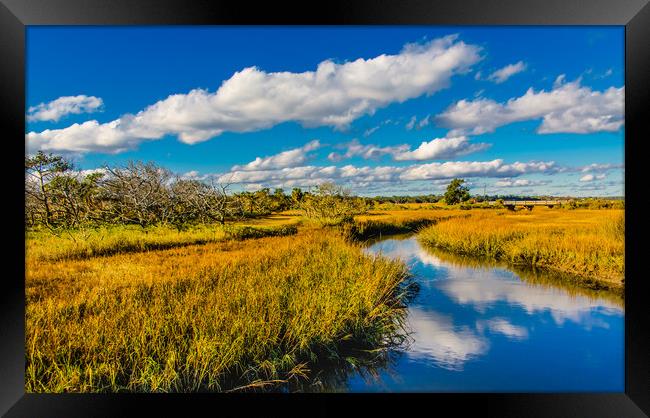 Marsh View with Creek Framed Print by Darryl Brooks