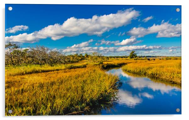 Marsh View with Creek Acrylic by Darryl Brooks