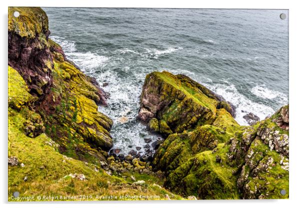 Saint Abbs Coastline Acrylic by Lrd Robert Barnes