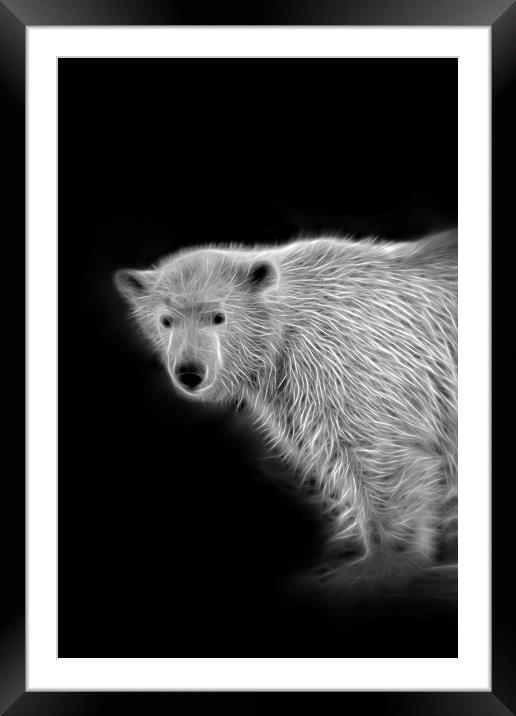 Polar Bear Cub Framed Mounted Print by rawshutterbug 