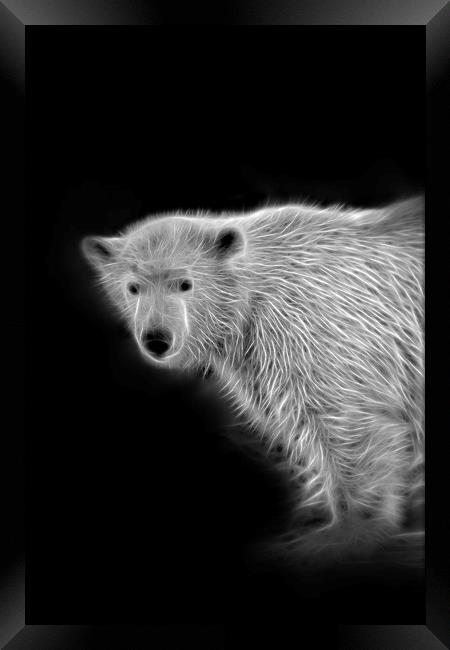 Polar Bear Cub Framed Print by rawshutterbug 