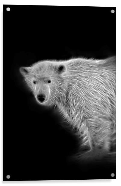 Polar Bear Cub Acrylic by rawshutterbug 