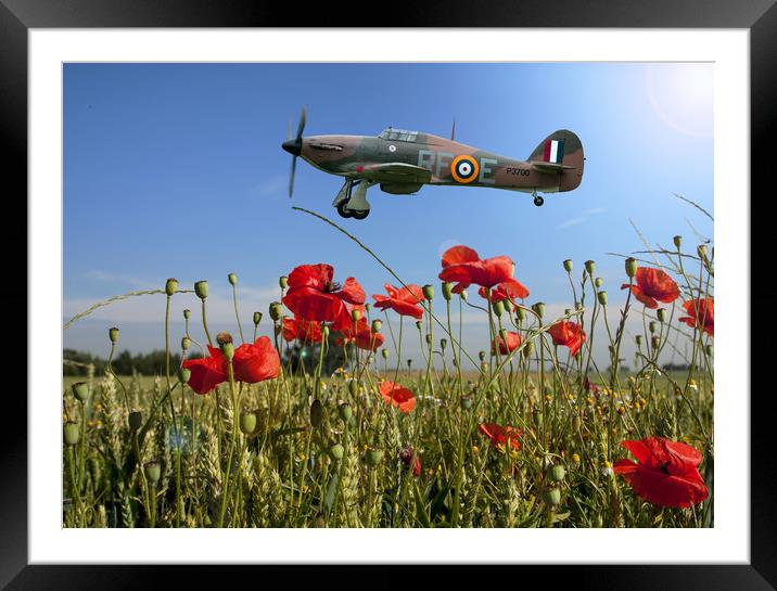 Lest we Forget Framed Mounted Print by Stephen Ward