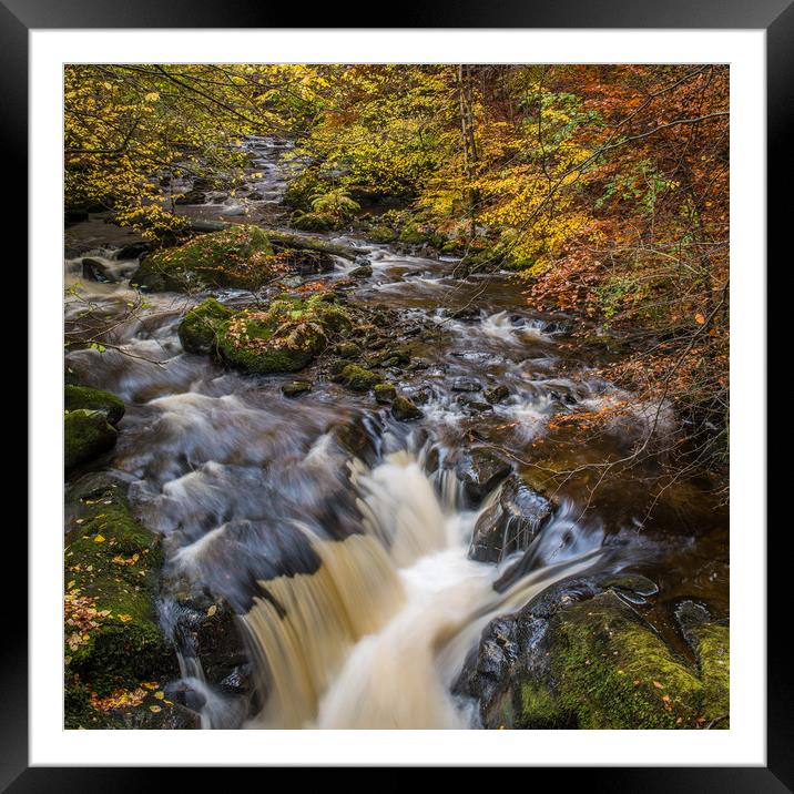 Autumn colours in Perthshire, Scotland Framed Mounted Print by George Robertson