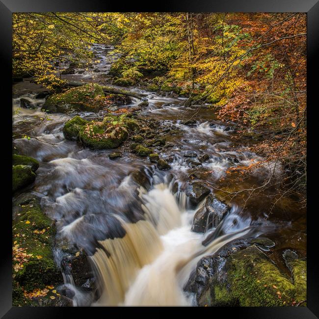 Autumn colours in Perthshire, Scotland Framed Print by George Robertson