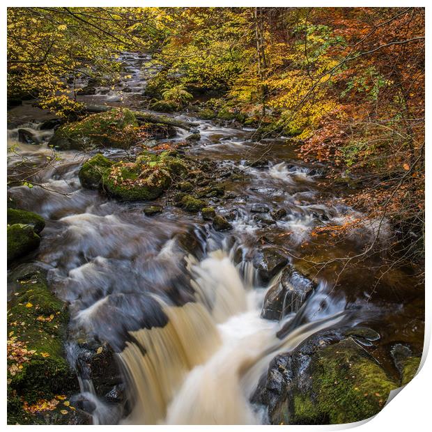 Autumn colours in Perthshire, Scotland Print by George Robertson