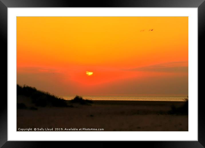 Red Sunset Flight Framed Mounted Print by Sally Lloyd