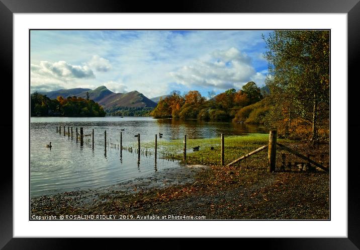 "Autumn at Derwentwater 2" Framed Mounted Print by ROS RIDLEY