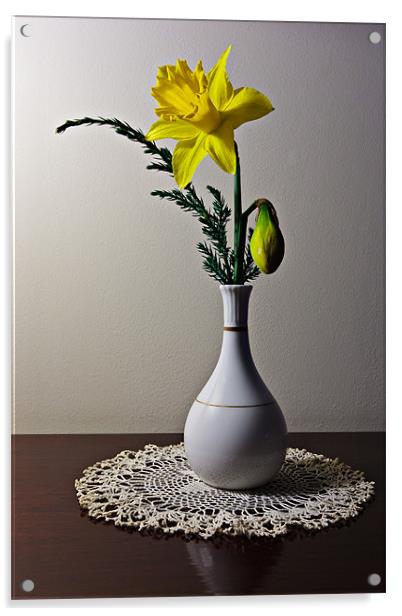 Daffodil Acrylic by David Lewins (LRPS)