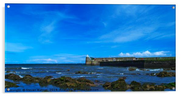 Burnmouth Harbour 2 Acrylic by Steven Watson