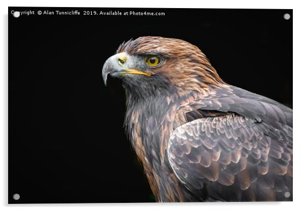 Golden Eagle Acrylic by Alan Tunnicliffe