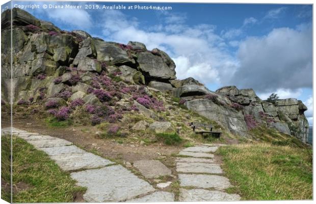 The Cow and Calf Seat Ilkley Moor Canvas Print by Diana Mower